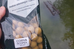 1_corn-scopex-boilis-karpiu-zvejybai