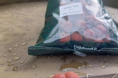 fish-food-boiliai-karpiams