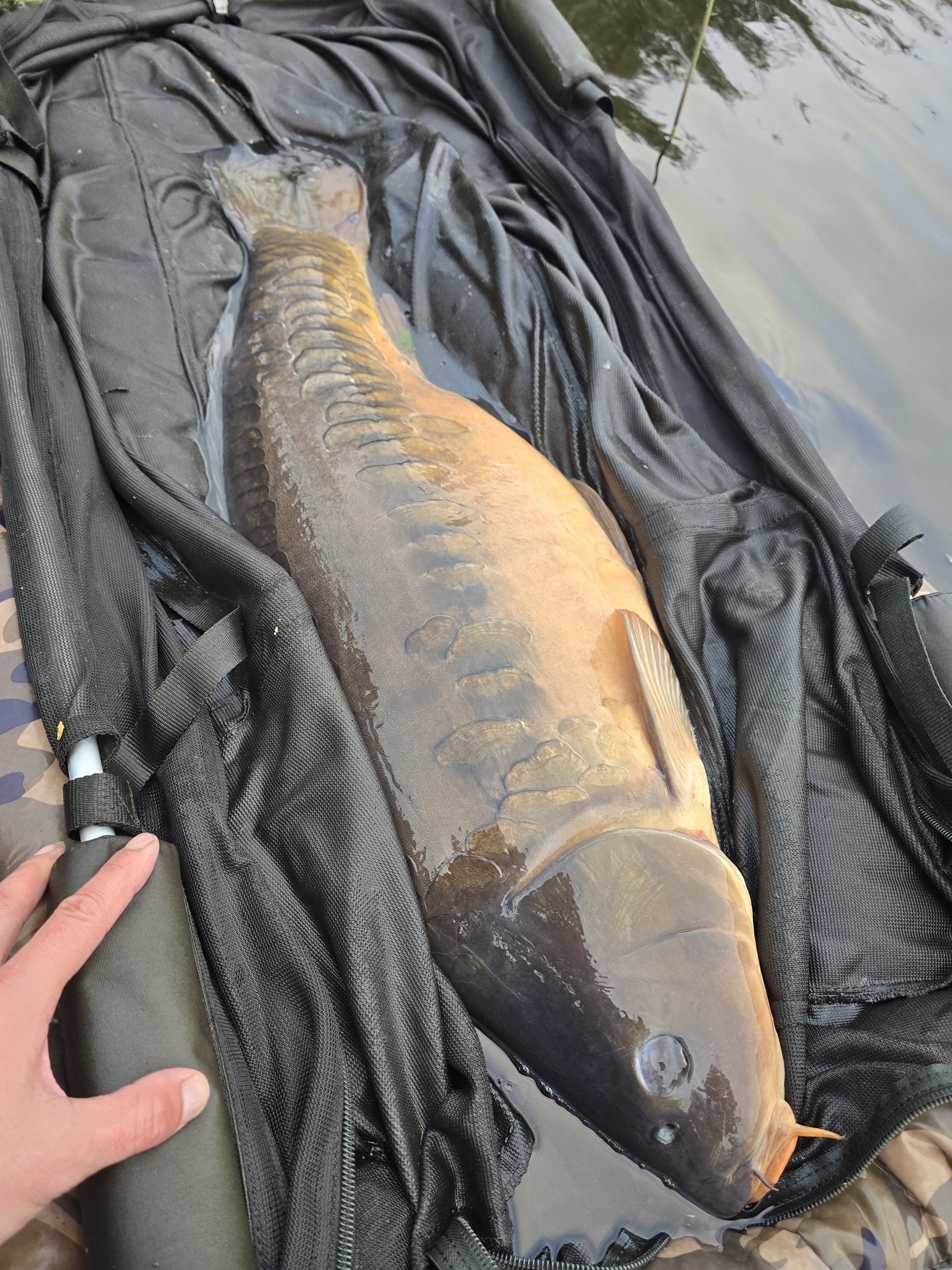18,8 kg karpis ant mato po sėkmingos naktinės žvejybos